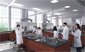 Interior Renderings